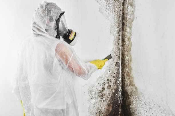 Step-by-Step Water Damage Restoration Procedure